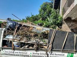 Best Estate Cleanout  in Rockville, MN